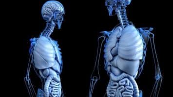 Does everything Change after brain stroke?