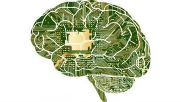 Does Disease have Memory Effects?