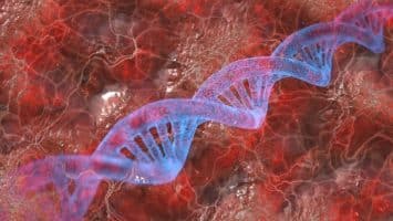 Learn about Karyotype:
