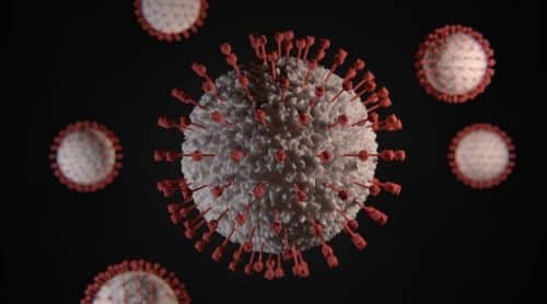 How long it lives in the Body, Food, And Air?