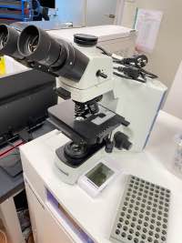 Are they on the rise? Super Bacteria – Certain Death?