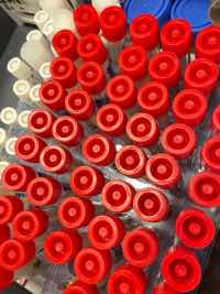 WHO Says 357 Million Infections?