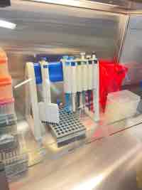 Is your category of people who meticulously monitors disease?