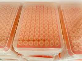 A huge given is the rising rates of oral cancers in men!